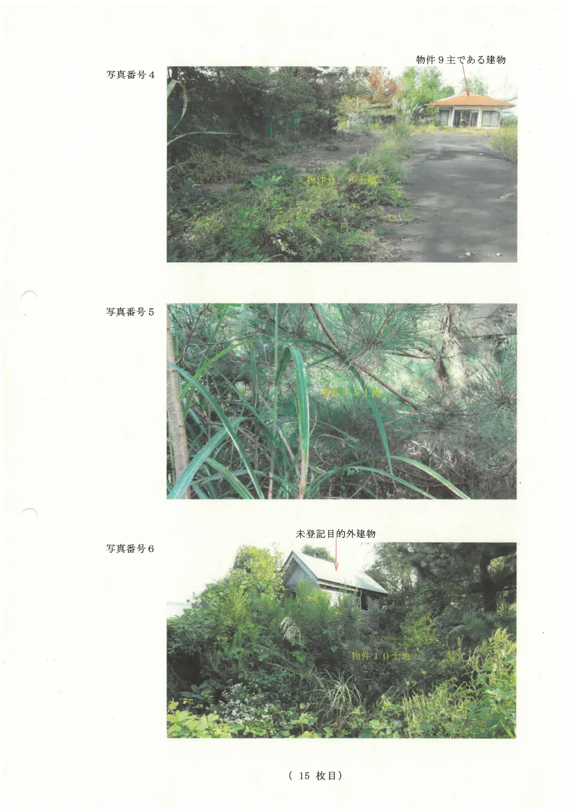 Thumbnail 6