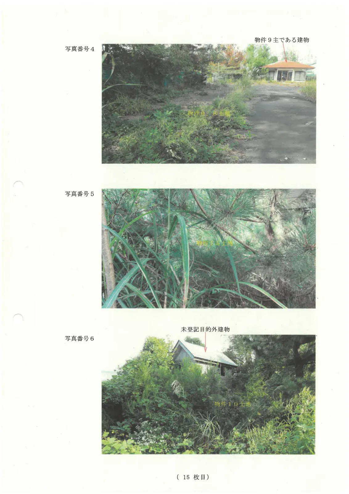 Thumbnail 6